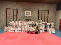 /album/fotogalerij/afbeelding-van-whatsapp-op-2025-11-27-om-22-07-04-8b95a6e2-jpg/